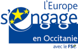 Entreprises de Moins de 50 salariés d'Occitanie : Développez votre Plan de développement des compétences avec le FSE !