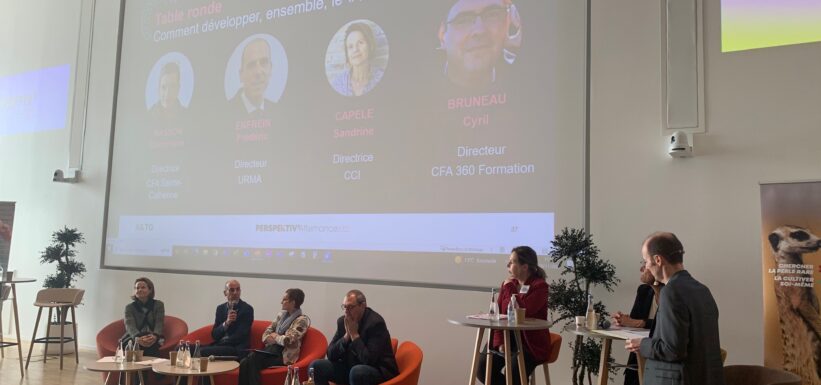 « Perspektiv'Alternance » en région Pays de la Loire ! 4