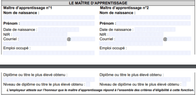 Cerfa apprentissage_maitre d'apprentissage