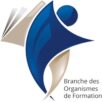 Webinaire : Découvrez l'EDEC Trans’Formation : accompagnez la transformation de votre organisme de formation 🚀 1