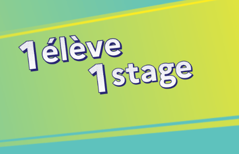 Formez la génération de demain avec 1élève1stage !