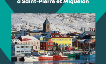 Image à la une article